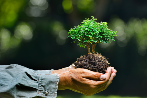Health, safety and environment